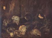 SCHRIECK, Otto Marseus van Still Life with Insects and Amphibians (mk14) oil on canvas